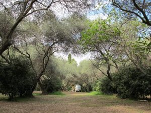 Camping Calamar, Korsika / © Camping Korrespondent