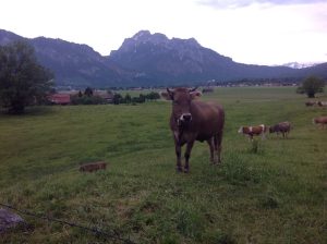 Camping Brunnen, Schwangau / Foto: © Camping Korrespondent