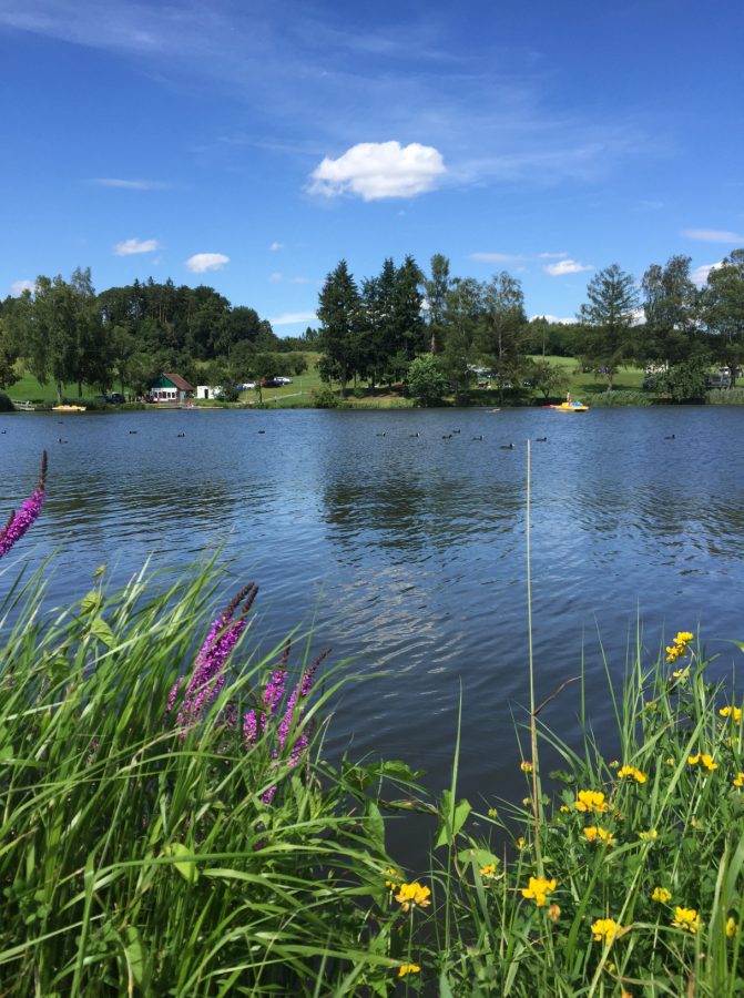 Camping Hammerschmiedesee / Foto: © Camping Korrespondent