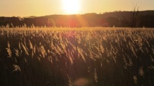 Marina Seedorf, Rügen / Foto: © Camping Korrespondent
