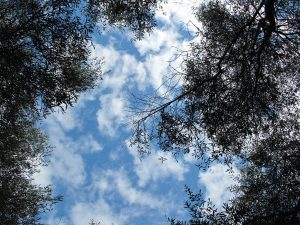 Camping Calamar, Korsika / © Camping Korrespondent