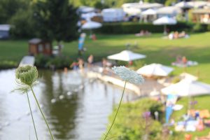 Camping Blauer See, Westerwald / Foto: © Camping Korrespondent
