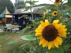Rheincamping Siebengebirgsblick/©Campingkorrespondent