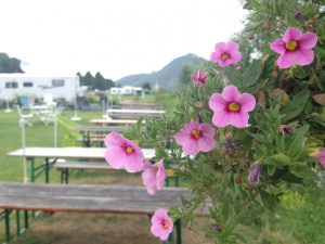 Rheincamping Siebengebirgsblick/©Campingkorrespondent