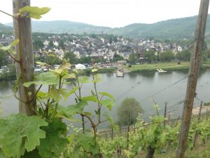 Fähranleger von Pünderich / ©Campingkorrespondent