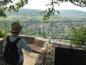 Blick von der Marienburg auf Pünderich / ©Campingkorrespondent