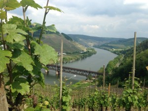 Moselblick / ©Campingkorrespondent