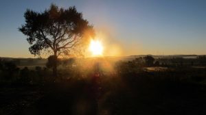 Caminho Português: Start in die dritte Etappe / Foto: ©Camping Korrespondent