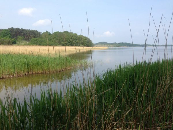 Camping Nandalee, Usedom / © Campingkorrespondent