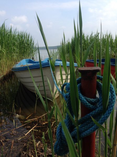 Camping Nandalee, Usedom / © Campingkorrespondent