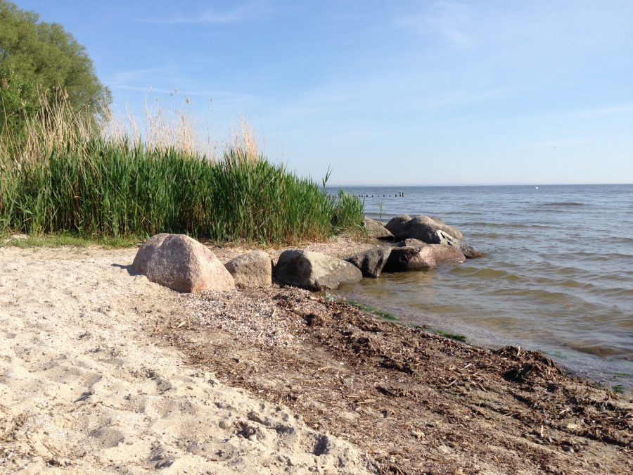 Stellplatz Mönkebude, Stettiner Haff / © Campingkorrespondent