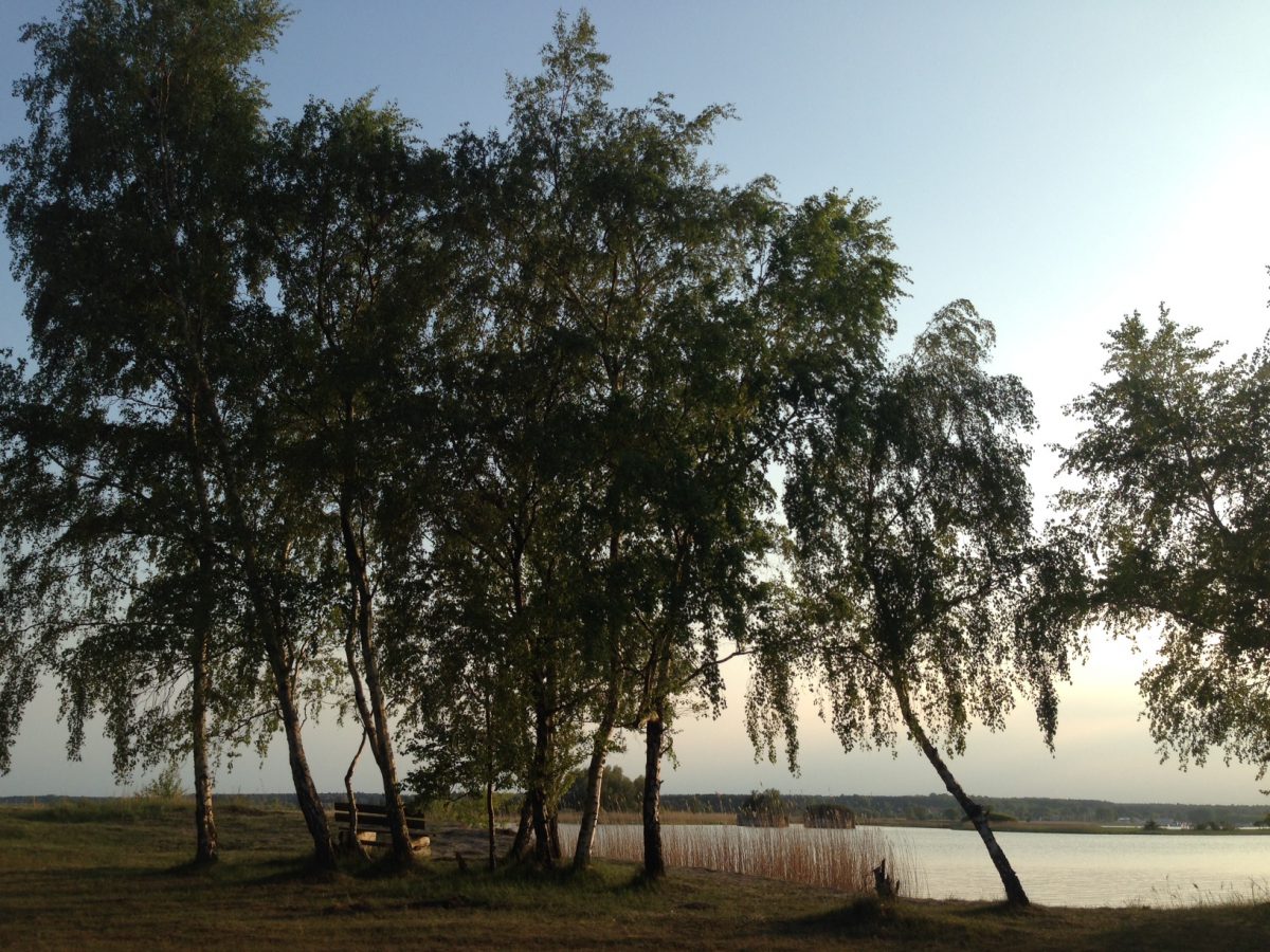 Stellplatz Peenemünde, Usedom / © Campingkorrespondent