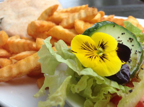 Camping Nandalee, Usedom / © Campingkorrespondent