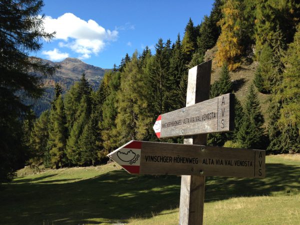 Vinschgauer Höhenweg / © Camping Korrespondent