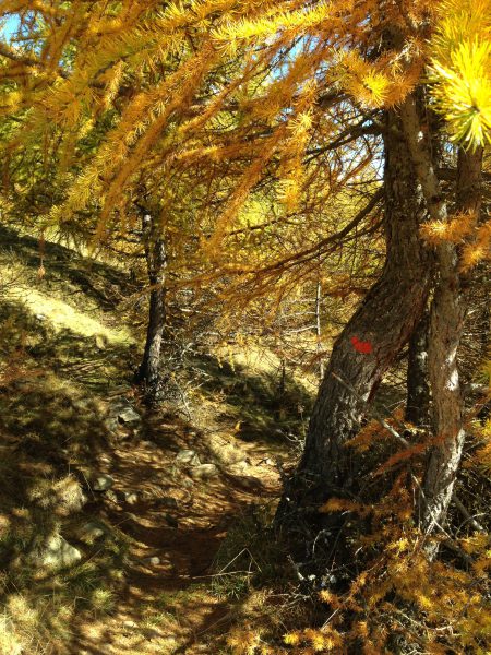 Vinschgauer Höhenweg / © Camping Korrespondent