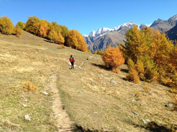 Vinschgauer Höhenweg / © Camping Korrespondent