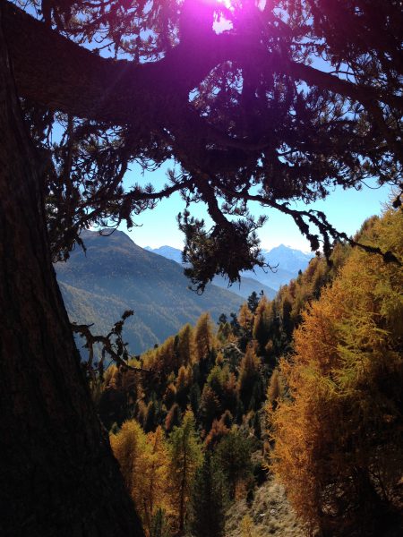 Vinschgauer Höhenweg / © Camping Korrespondent