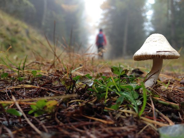 Vinschgauer Höhenweg / © Camping Korrespondent