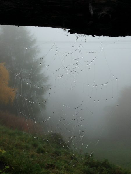 Vinschgauer Höhenweg / © Camping Korrespondent