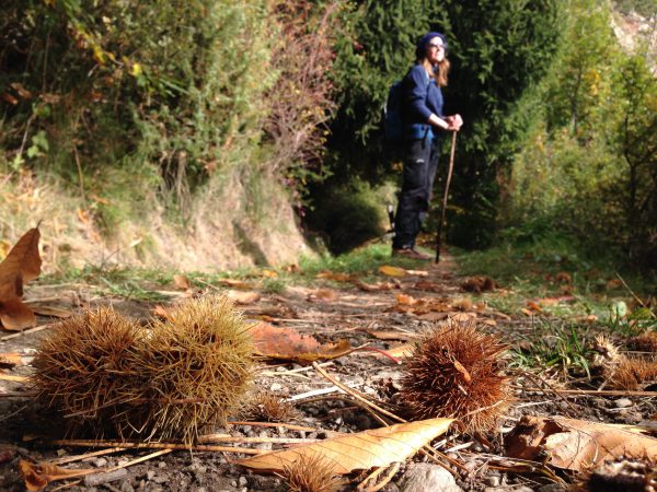 Vinschgauer Höhenweg / © Camping Korrespondent
