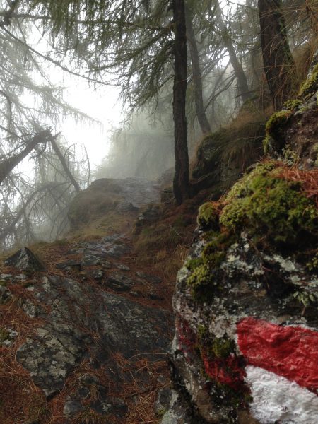 Vinschgauer Höhenweg / © Camping Korrespondent
