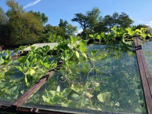 Gartenfestival Chaumont-sur-Loire / Foto: © Camping Korrespondent