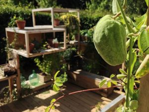 Gartenfestival Chaumont-sur-Loire / Foto: © Camping Korrespondent