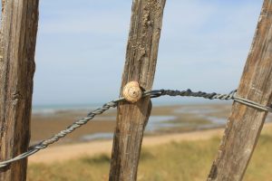 L'Ile de Ré / Foto: © Camping Korrespondent