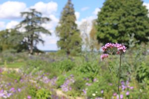 Schlosspark Chaumont-sur-Loire / Foto: © Camping Korrespondent