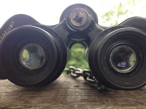 Spielzeug am Biergarten Elmores am Siegfall / Foto: © Camping Korrespondent