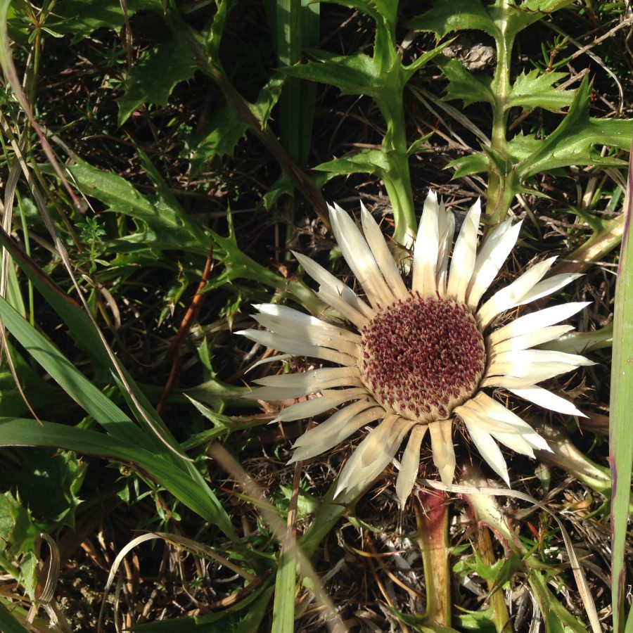 Wanderung Fanes-Sennes-Prags / Foto: © Camping Korrespondent