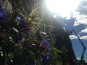 Gärten Schloss Trauttmansdorff Meran / Foto: © Camping Korrespondent