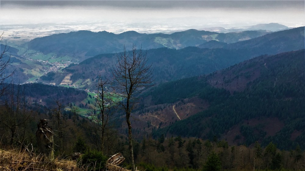 Belchentour, Münstertal, Etappe 2 / Foto: © Camping Korrespondent
