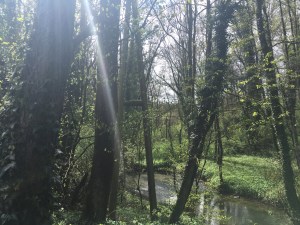 Neanderlandsteig, Etappe 1 / Foto: © Camping Korrespondent