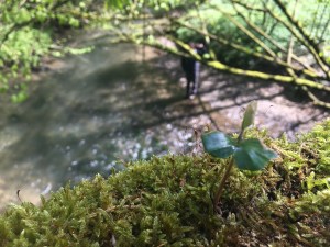 Neanderlandsteig, Etappe 1 / Foto: © Camping Korrespondent