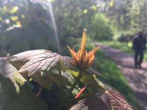 Neanderlandsteig, Etappe 1 / Foto: © Camping Korrespondent