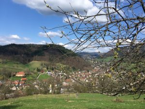 Belchentour, Münstertal, Etappe 1 / Foto: © Camping Korrespondent