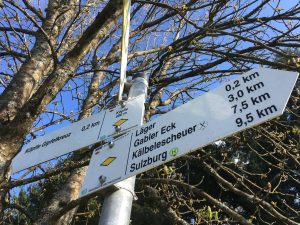 Belchentour, Münstertal, Etappe 1 / Foto: © Camping Korrespondent