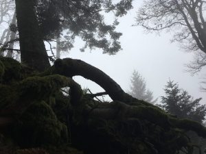 Belchentour, Etappe 2 / Foto: © Camping Korrespondent