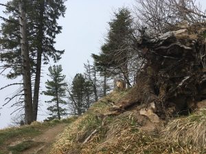 Belchentour, Etappe 2 / Foto: © Camping Korrespondent