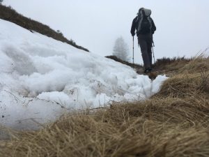 Belchentour, Etappe 2 / Foto: © Camping Korrespondent