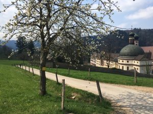 Belchentour, Etappe 3 / Foto: © Camping Korrespondent