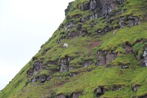 Pen y Fan Wales / © Campingkorrespondent