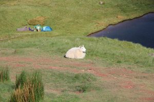 Pen y Fan Wales / © Campingkorrespondent