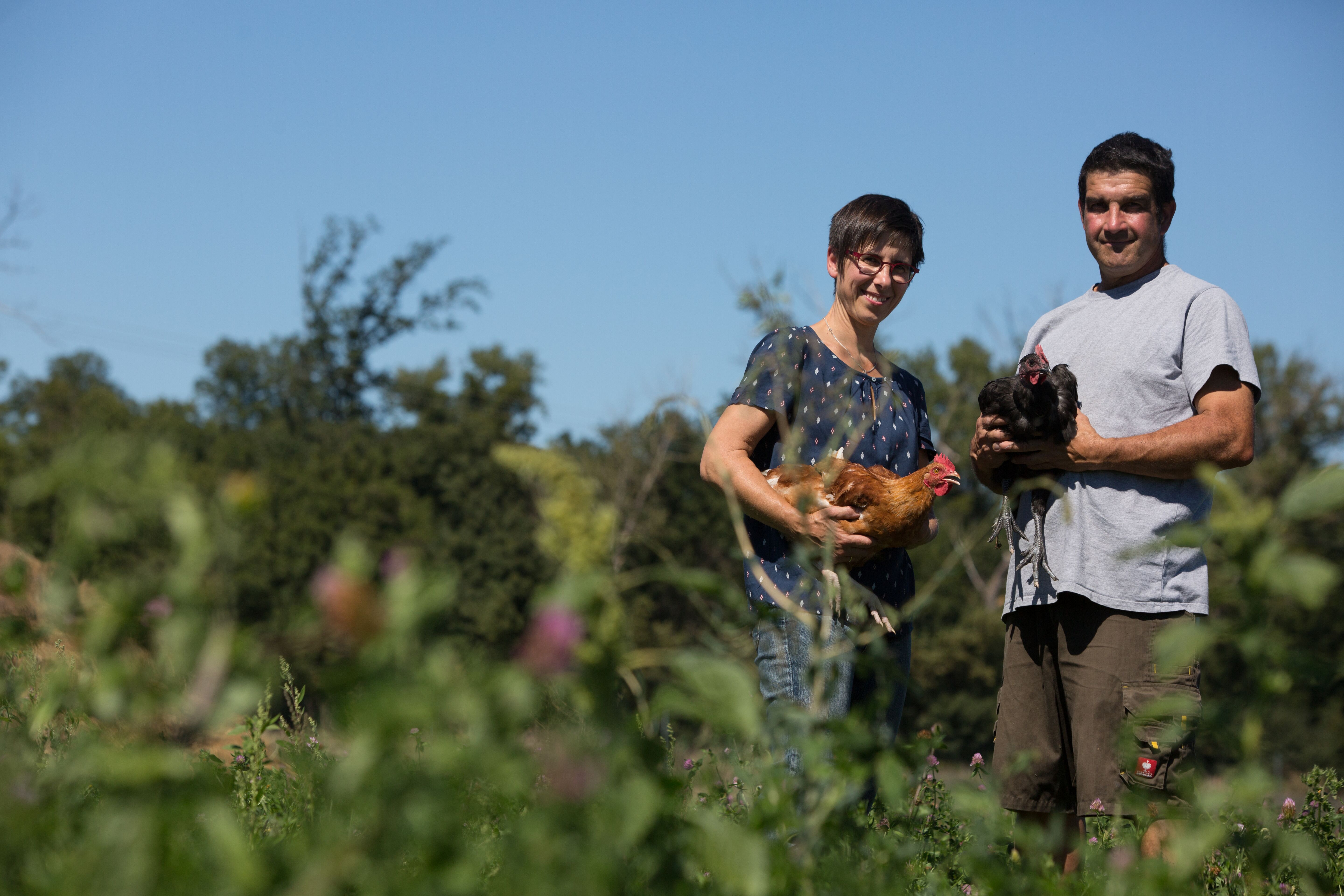 Hoflädchen Ochsenschläger / © Landvergnügen