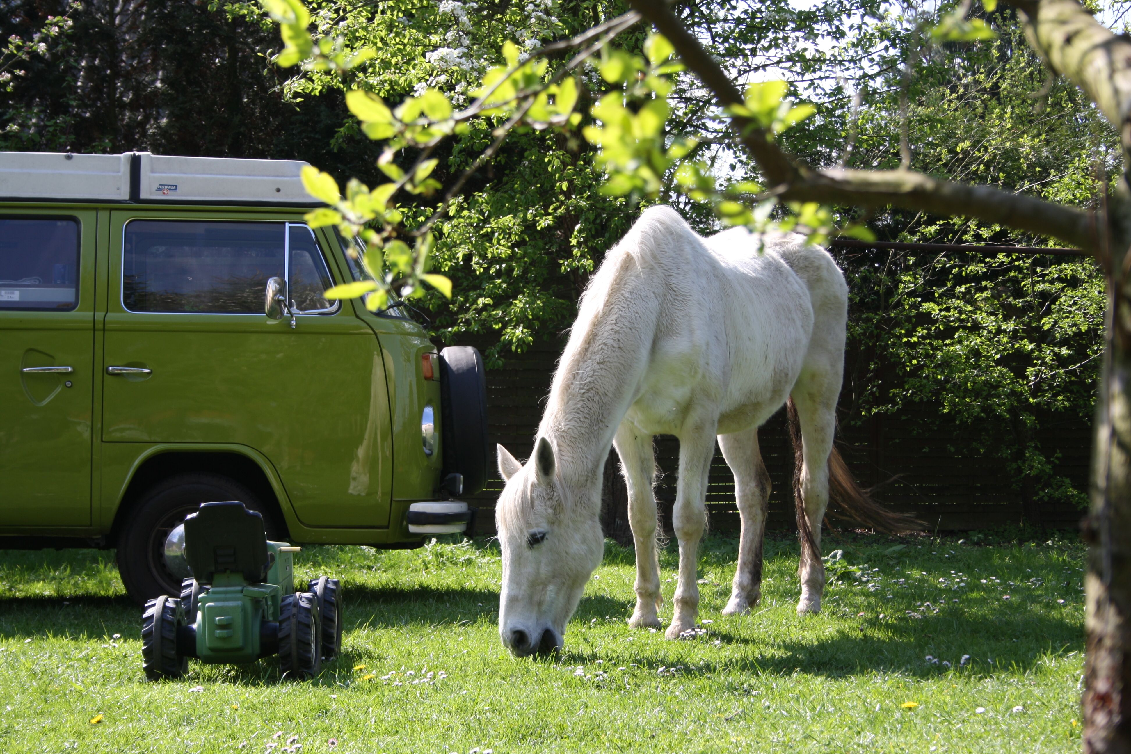 Milchschafhof Schafgarbe / © Landvergnügen