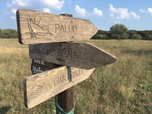 Val Vidal Camping Rovinj / © schön campen