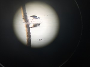 Val Vidal Camping Rovinj / © schön campen