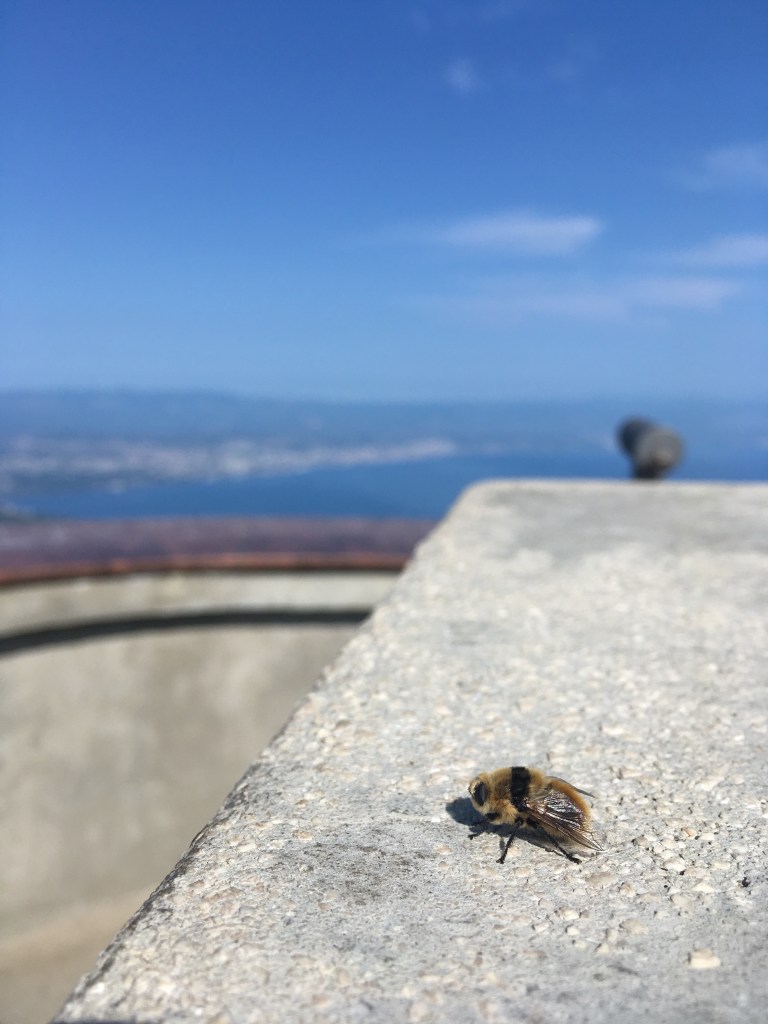 Wanderung Vojak, Istrien / © schön campen