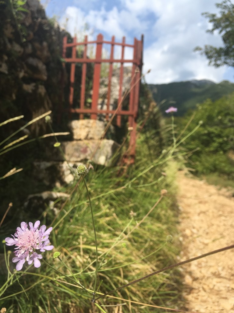 Mošćeničke Draga / © schön campen